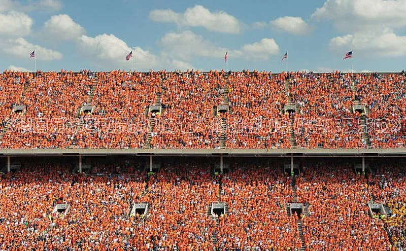 恒行官网登录入口滴滴出行《德国足球运动员悲剧身亡：揭秘被刺案件始末及影响》