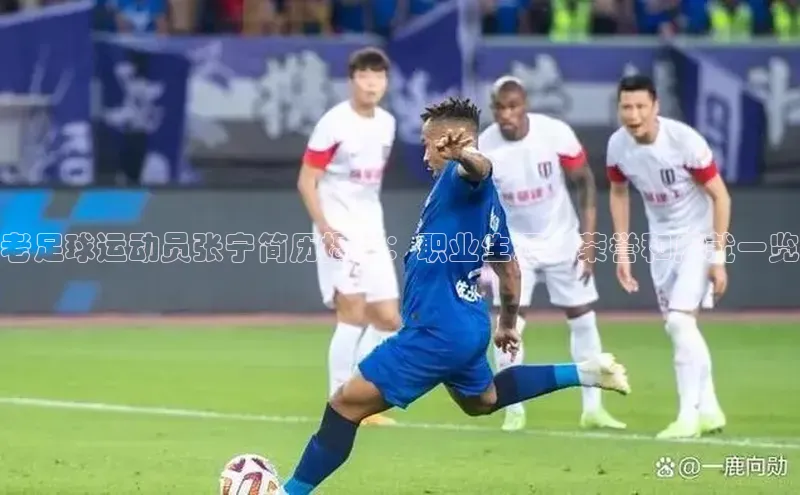 恒行6娱乐APP官网登录入口京东老足球运动员张宁简历揭秘：职业生涯、荣誉和成就一览