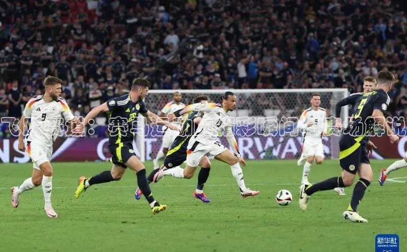 飞跃赛道：赛马运动的精彩瞬间与赛场解说