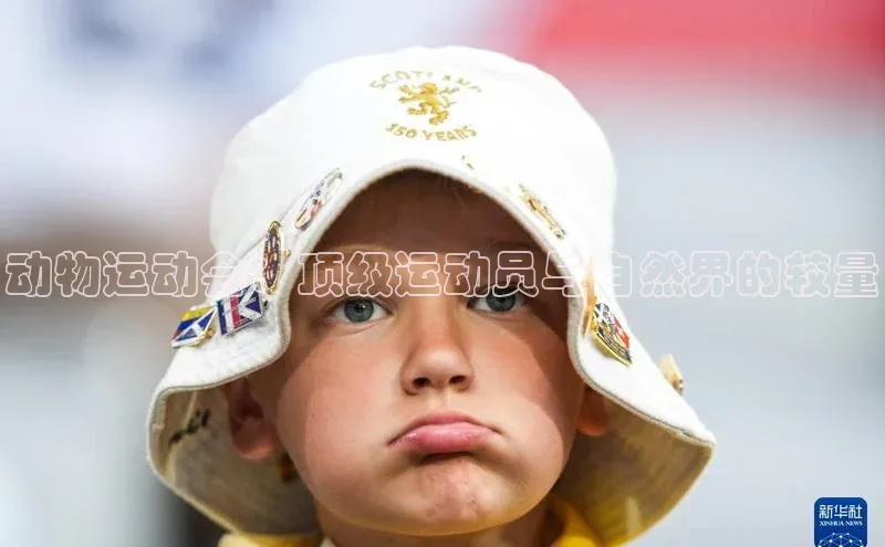 动物运动会：顶级运动员与自然界的较量