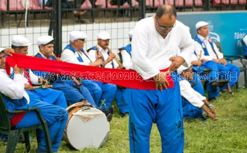 激燃现场：沉浸式观看2023年度顶尖体育赛事直播