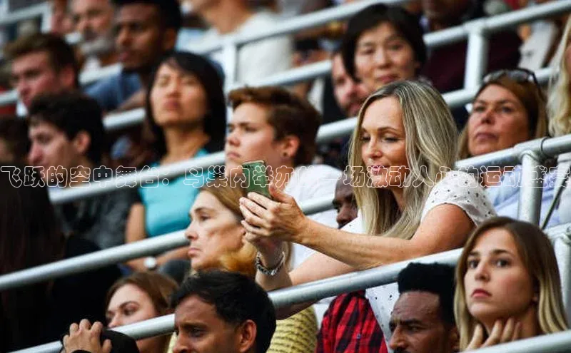 飞跃的空中舞台：鸟巢内举办的一场激动人心的运动盛宴