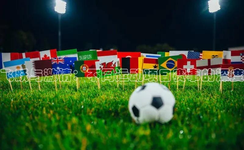 飞跃与激情：不同运动项目赛事的深度