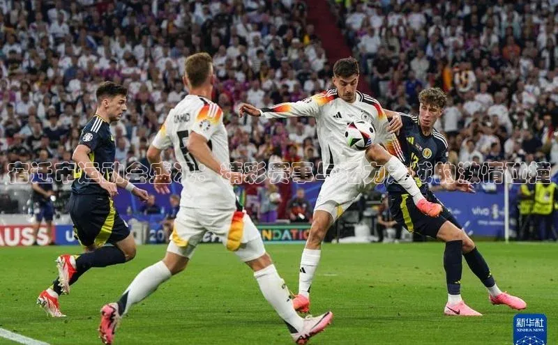 宿迁市运动会盛况：精彩赛事与活力之城的激情碰撞