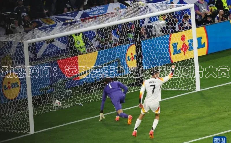 动感瞬间：运动赛事加油牌精选图片大赏