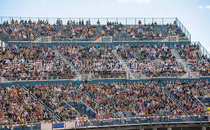 色彩与动感：幼儿园的运动赛事主题艺术