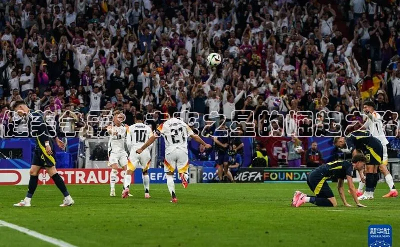 健美争霸：未来之星的崛起之路