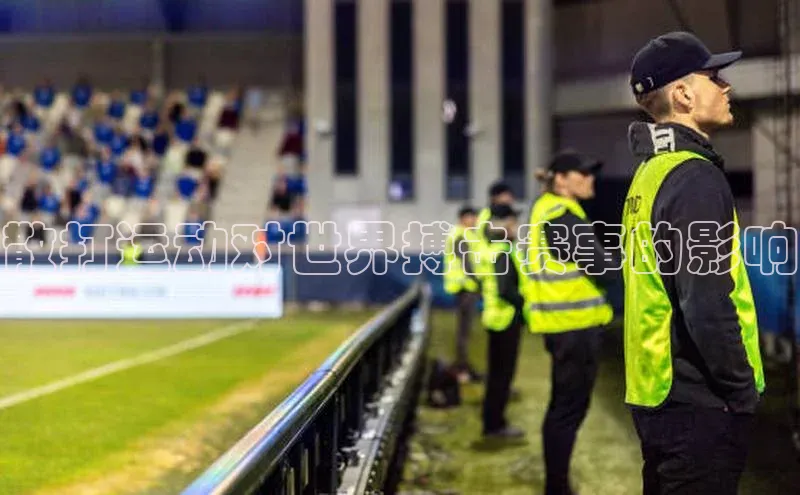 散打运动对世界搏击赛事的影响