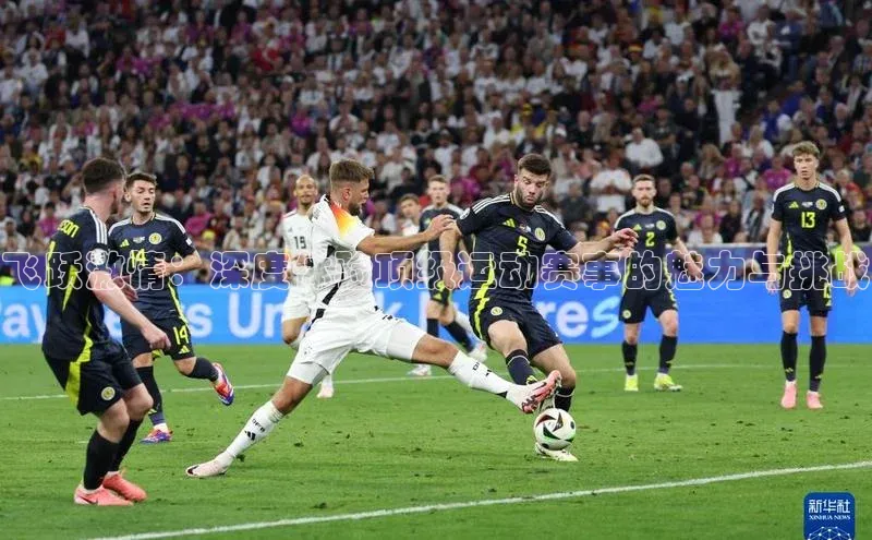 恒行6手机版官方网站